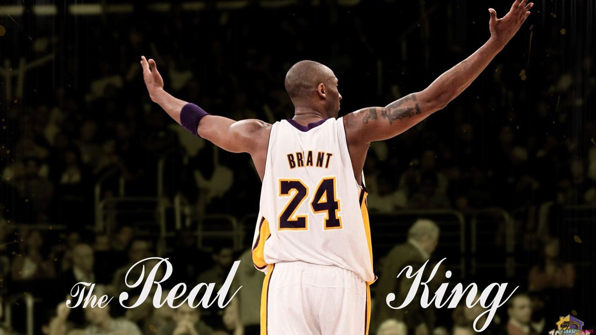 _运动员的幕后训练：揭秘职业高水平细节_，职业运动员怎么训练