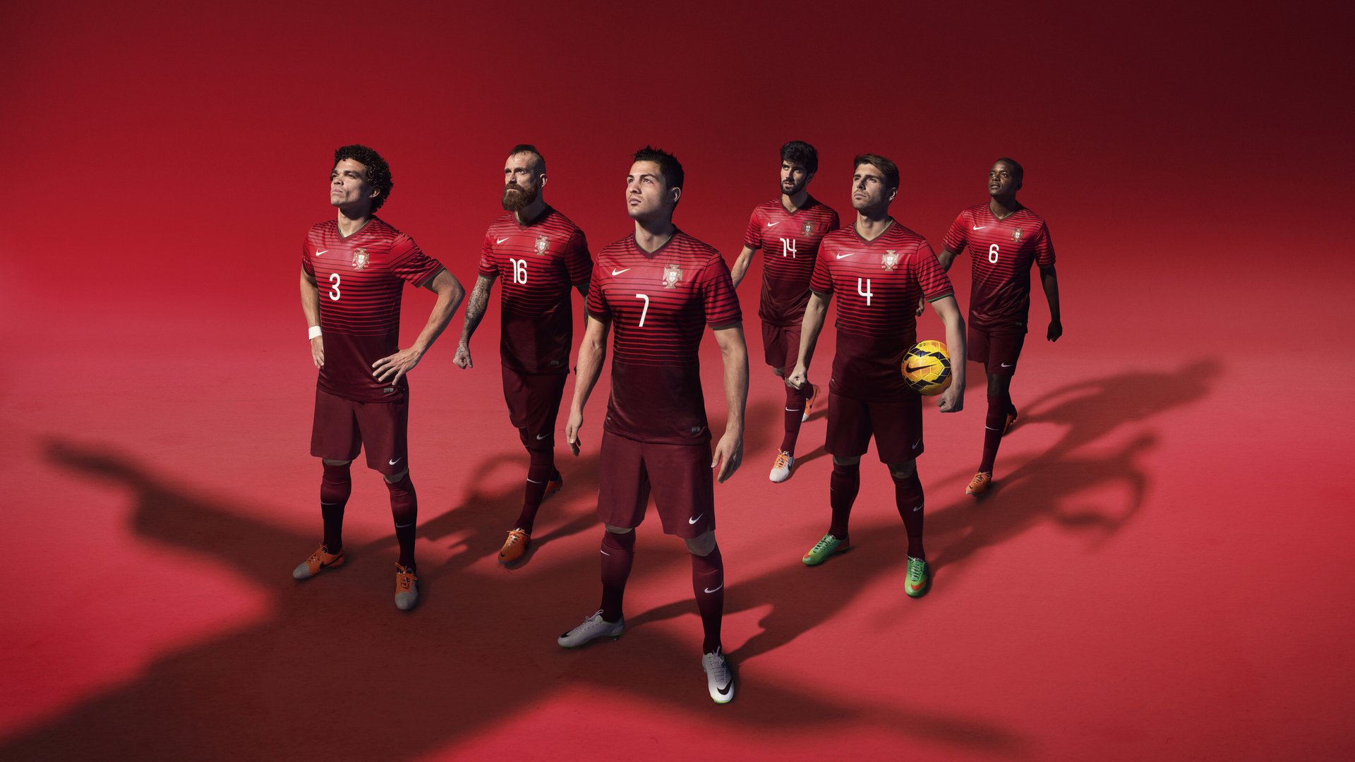 塞内加尔马术协会与兽医合作，开展马匹疾病预防与治疗研究。，塞内加尔羊图片